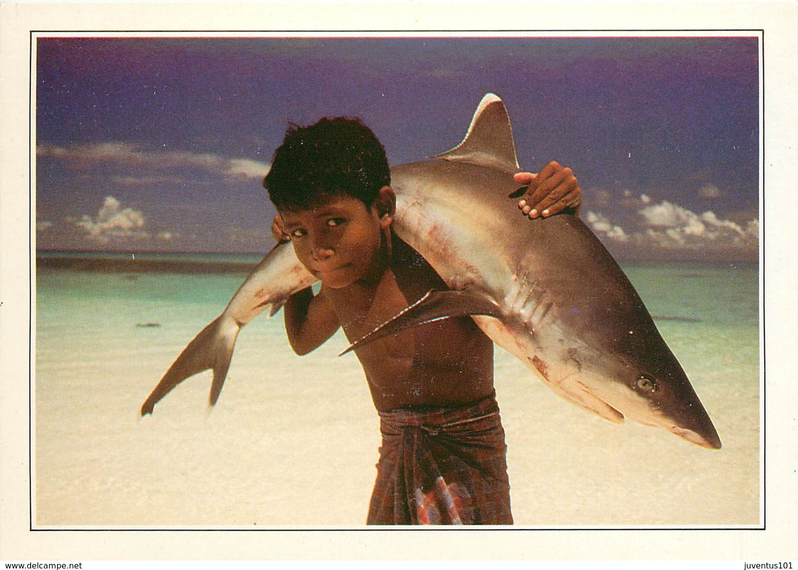 CP Explicative-Maldives-Requin             L2670 - Maldiven