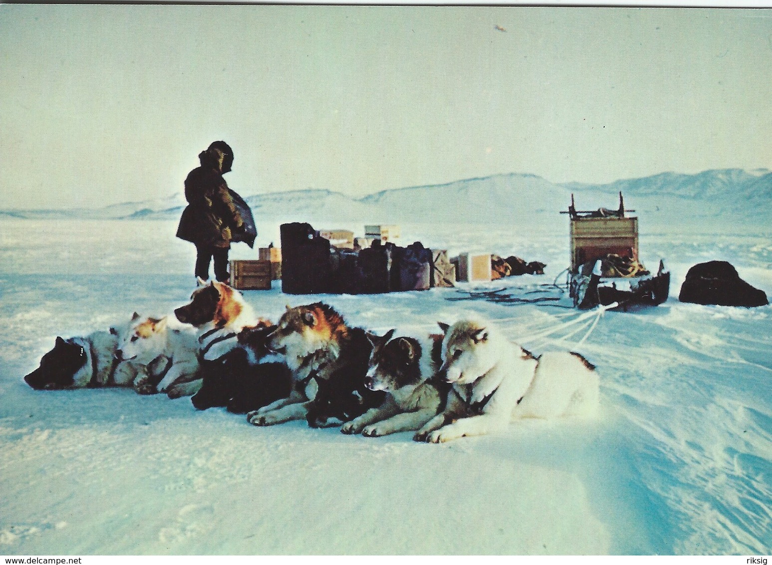 Greenland - Sirius Military Patrol. Dogs & Sledges.   B-3182 - Grönland