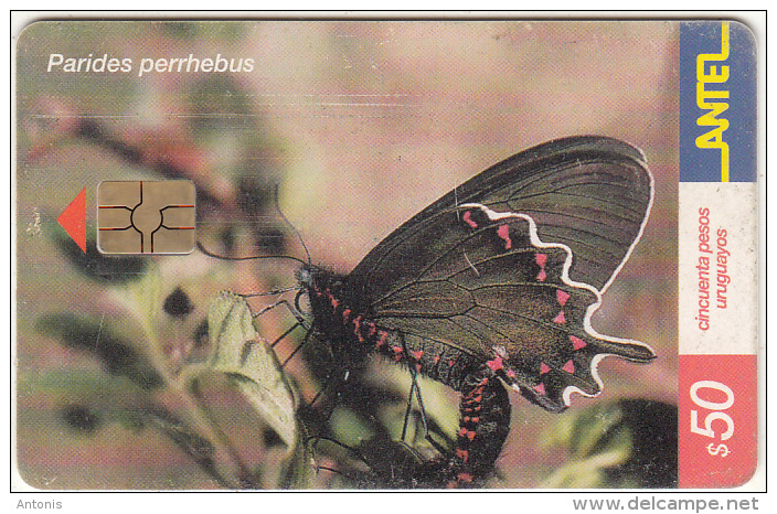 URUGUAY - Butterfly, Parides Perrhebus(245a), 08/02, Used - Uruguay