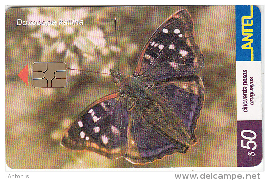 URUGUAY - Butterfly, Doxocopa Kallina(244a), 07/02, Used - Uruguay