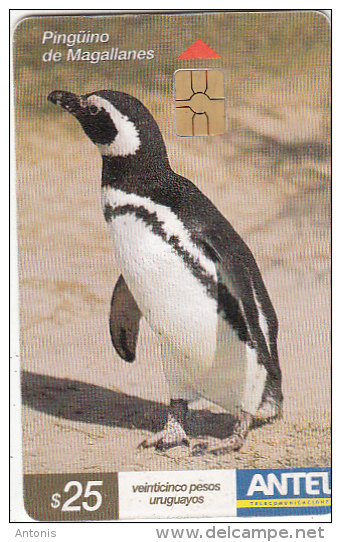 URUGUAY - Pinguin, Pinguino De Magallanes(269a), 10/03, Used - Uruguay