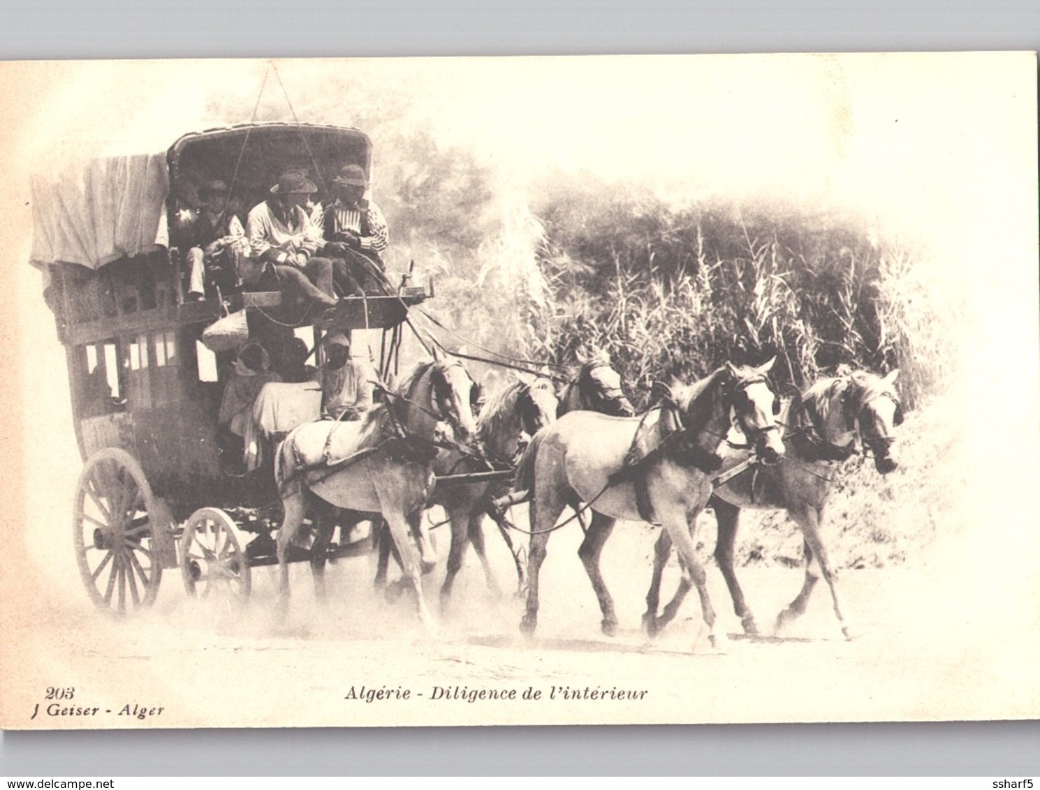 Algérie DILIGENCE De L'Intérieur Très Animée Chevaux Passager J. Geiser Env. 1904 - Szenen