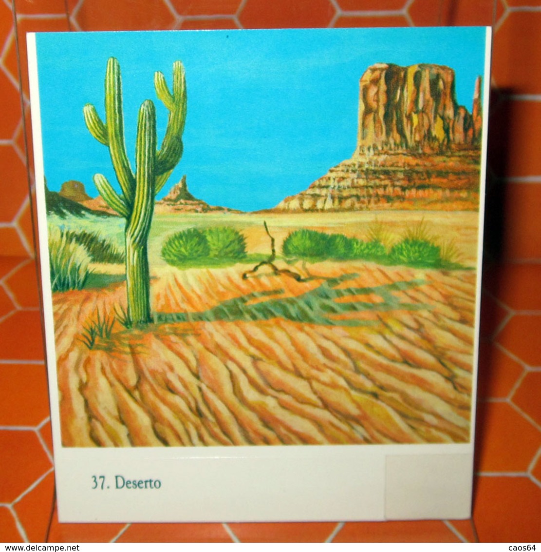 DESERTO  N. 37 STICKER ADESIVO CON VELINA NEW VINTAGE - Altri & Non Classificati