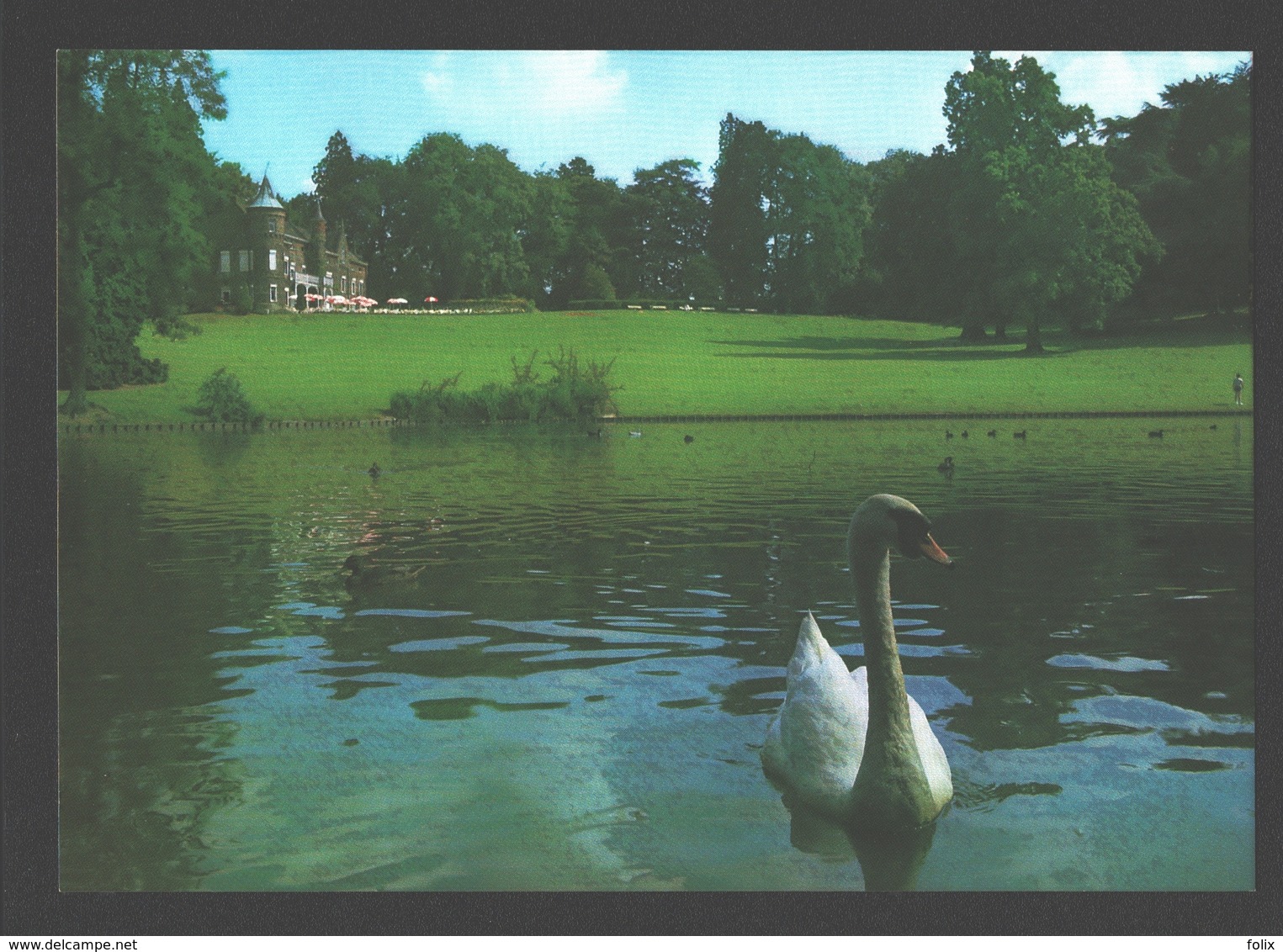 Zottegem - Domein Breivelde - Zwaan / Cygne / Swan - Zottegem