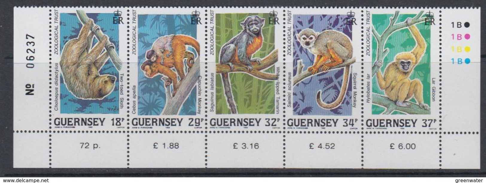 Guernsey 1989 Monkeys Strip 5v (+margin)  ** Mnh (40505J) - Guernsey