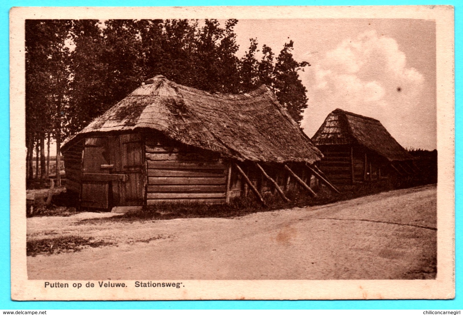 Putten Op De Veluwe - Stationsweg - C.J.E. Van DOMPSELER - 1938 - Putten