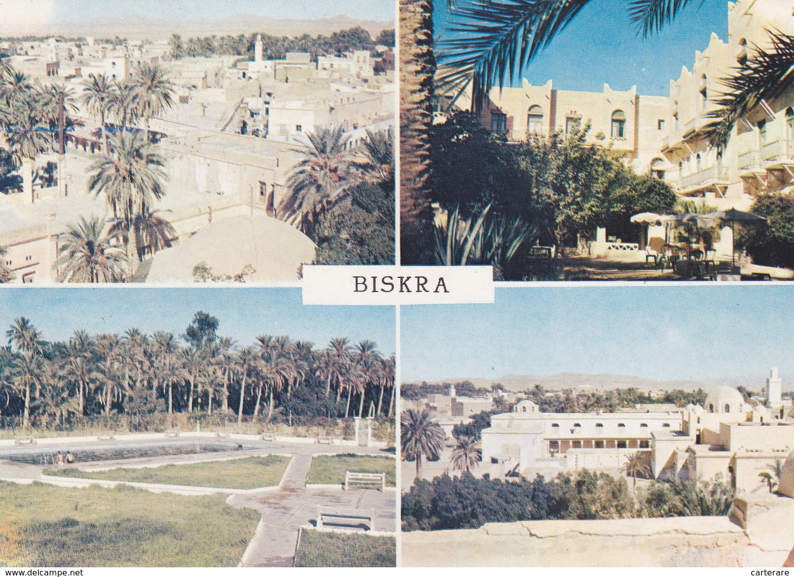 AFRIQUE DU NORD,ALGERIE,BISKRA - Biskra