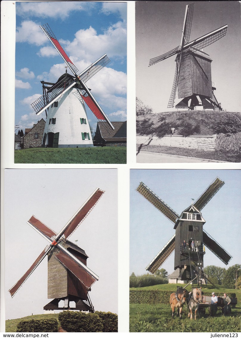 HERZELE.-10 VERSCHILLENDE KAARTEN MET MOLEN. - Herzele