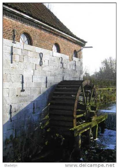 SINT-TRUIDEN ~ Metsteren (Limburg) - Molen/moulin - Mooie Prentkaart Van De Metsterenmolen (foto: 2005) - Sint-Truiden