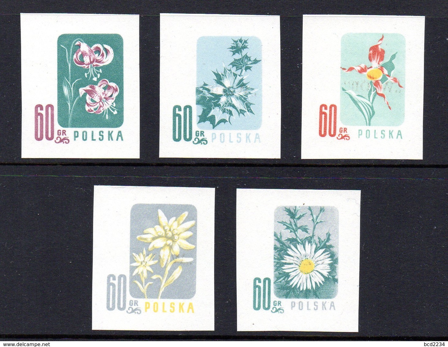 POLAND 1957 ENDANGERED FLOWERS COLOUR PROOFS NHM (NO GUM) Flowers Lily Edelweiss Sea Holly Carlina Acaulis Cypripedium - Essais & Réimpressions