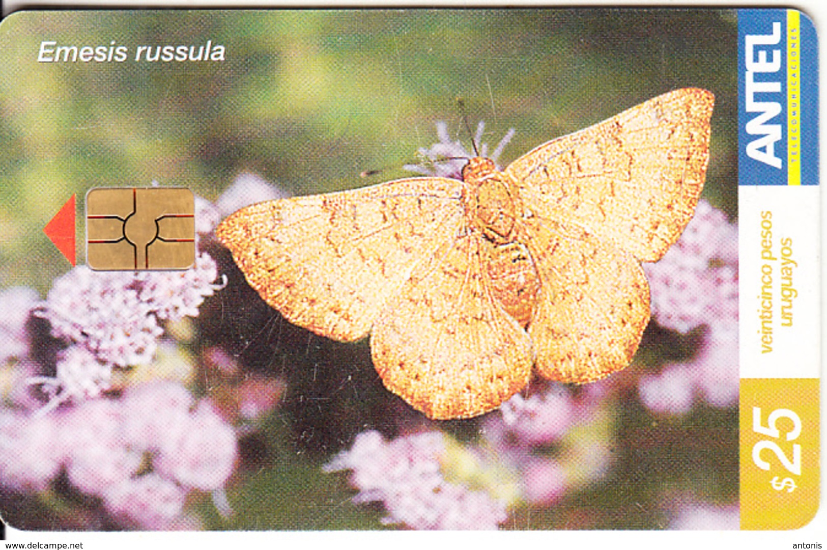 URUGUAY - Butterfly, Emesis Russula(287a), 08/03, Used - Uruguay