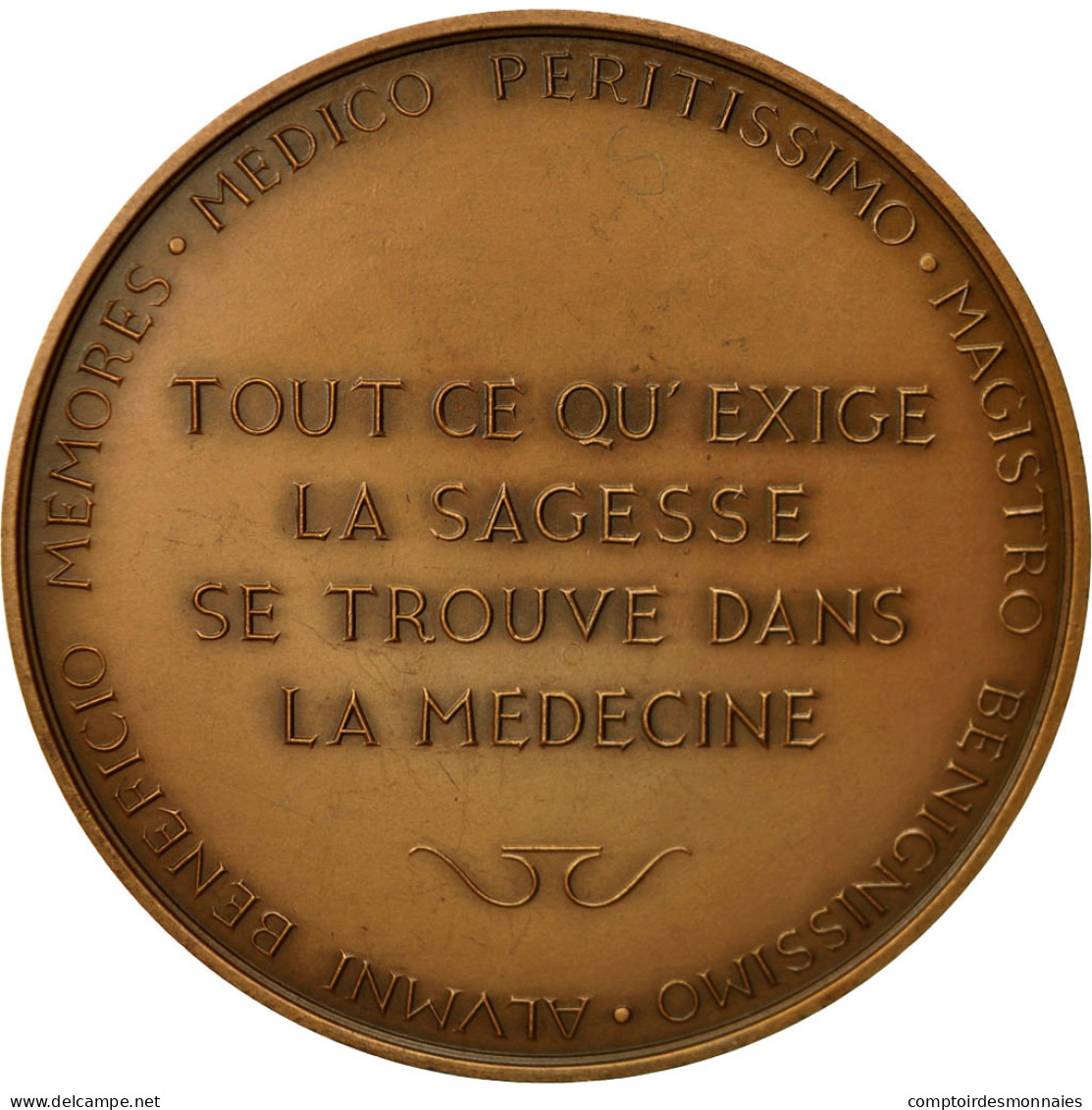 France, Médaille, Médecine, Docteur René Puig, Perpignan, 1963, Paredes, SPL - Autres & Non Classés