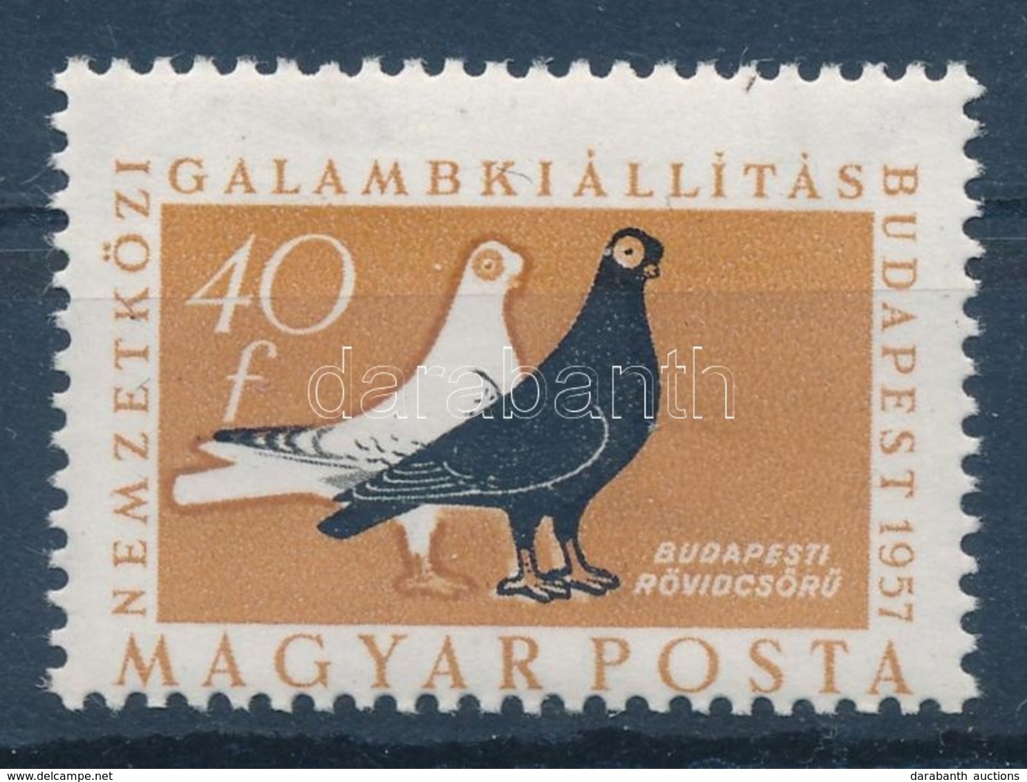 ** 1957 Galamb 40f Erősen Elfogazva - Altri & Non Classificati