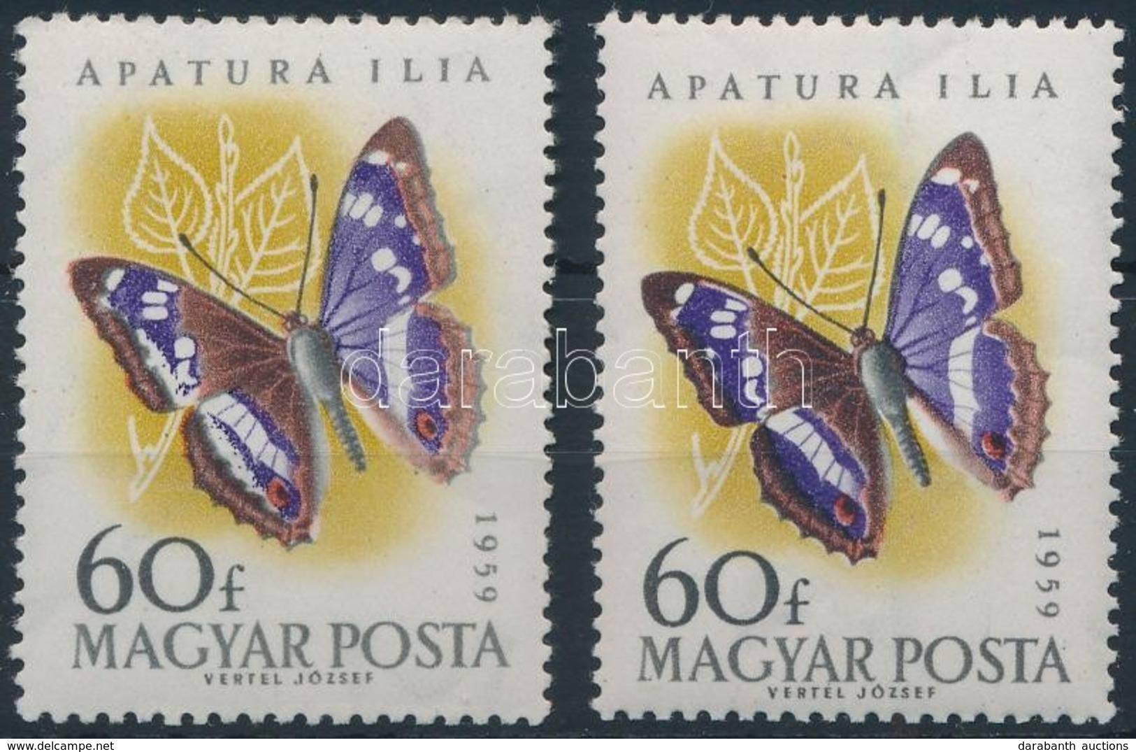 ** 1959 Lepke 60f ,,lepkeszárnyon Kettős Fehér Csík' (6.000) + Támpéldány - Altri & Non Classificati