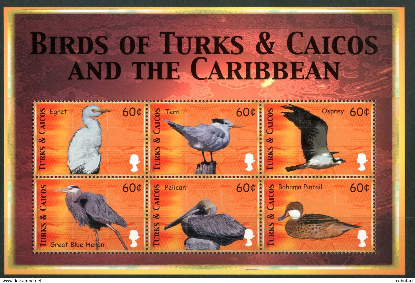 TURKS & CAICOS 2000** - Uccelli / Birds - Block Di 6 Val. MNH, Come Da Scansione. - Altri & Non Classificati