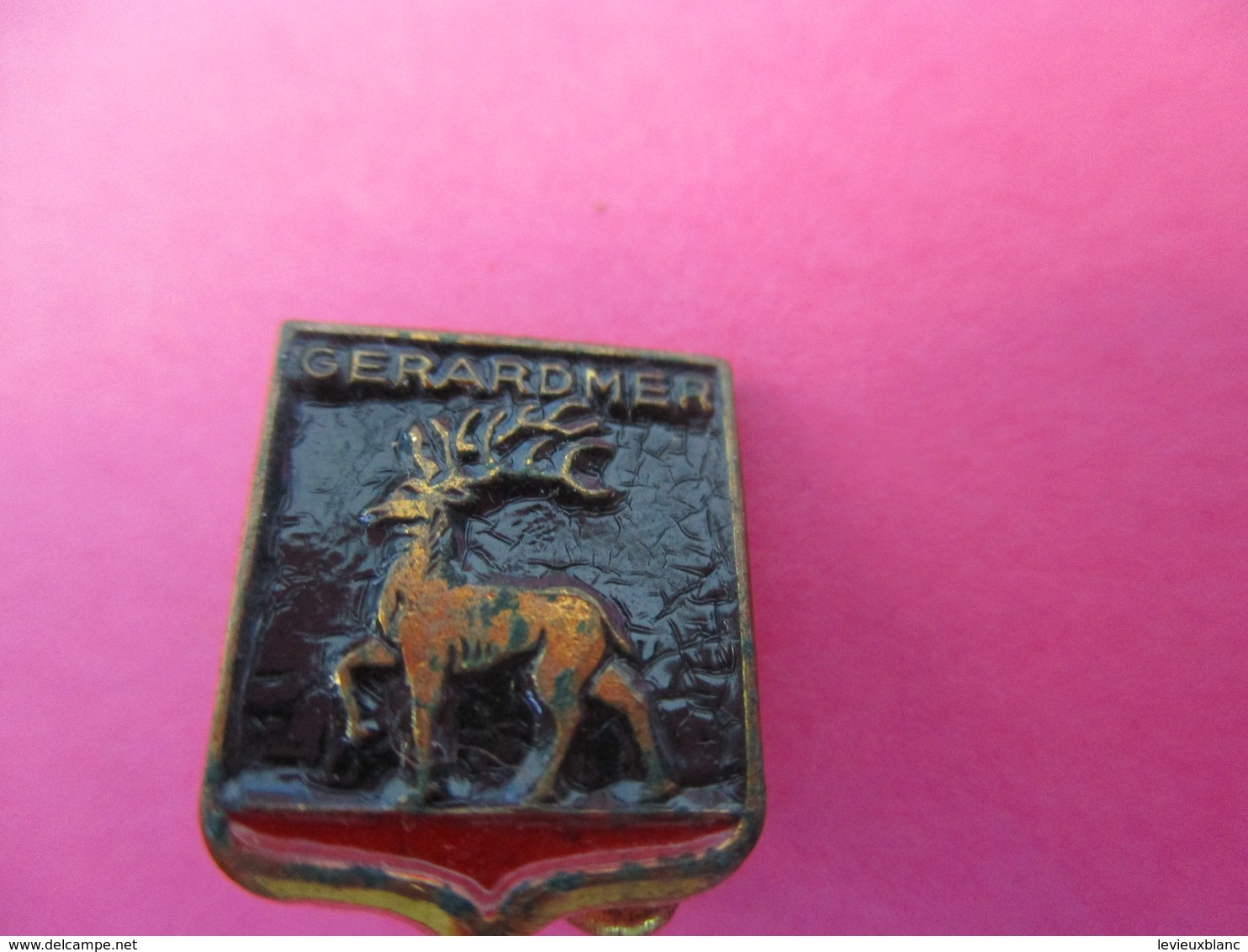 Insigne De Revers à  épingle/Ecusson/GERARDMER/ Bronze Estampé Peint/ Vers 1930-1950       MED253 - Other & Unclassified