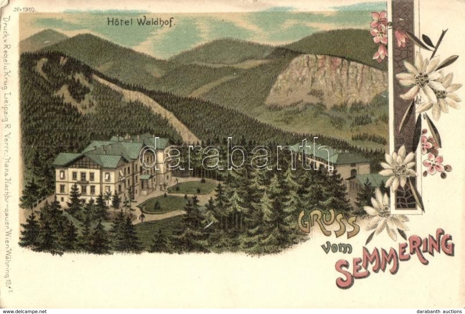 ** T2/T3 Semmering, Hotel Waldhof. Regel & Krug No. 1910. Floral, Litho  (tiny Tear) - Non Classificati