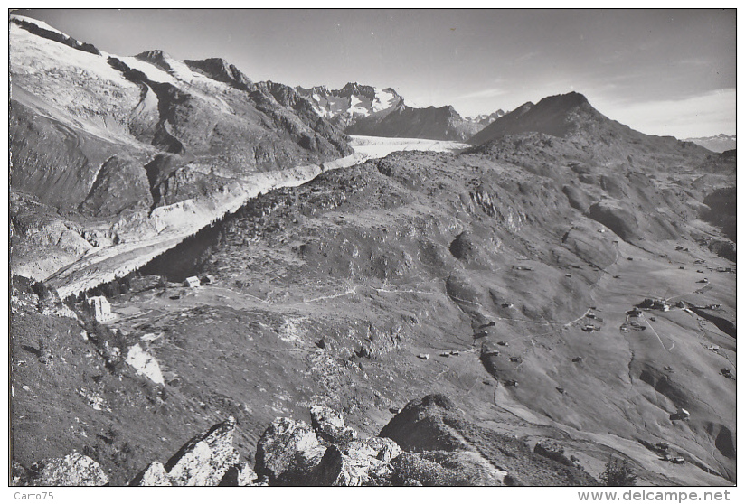 Suisse - Riederfurka Und Riederalp - W.Fiescherhörner -  Gr. Aletschgletscher - Glacier - Riederalp