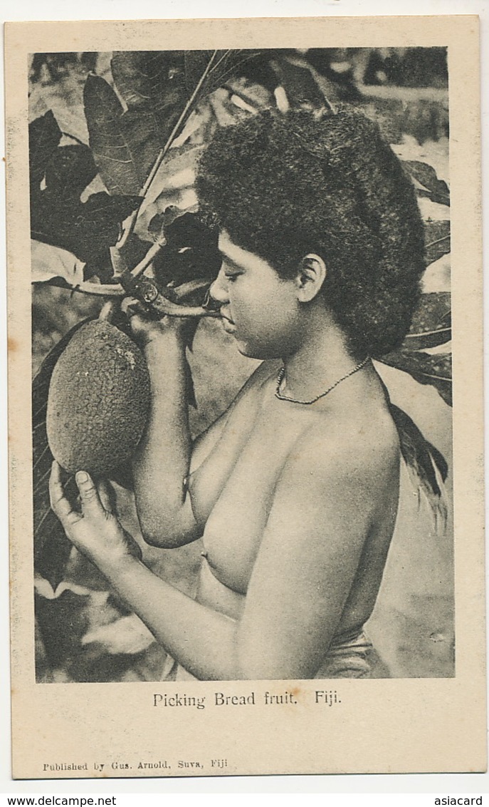 Fiji Nude Girl Picking Bread Fruit Arbre à Pain . Jeune  Fille Seins Nus Edit Gus. Arnold - Fiji