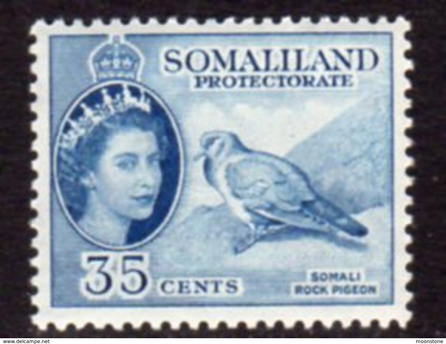 British Somaliland 1953-8 35c Stock Dove Bird Value, MNH, SG 142 (BA) - Somaliland (Protectorate ...-1959)