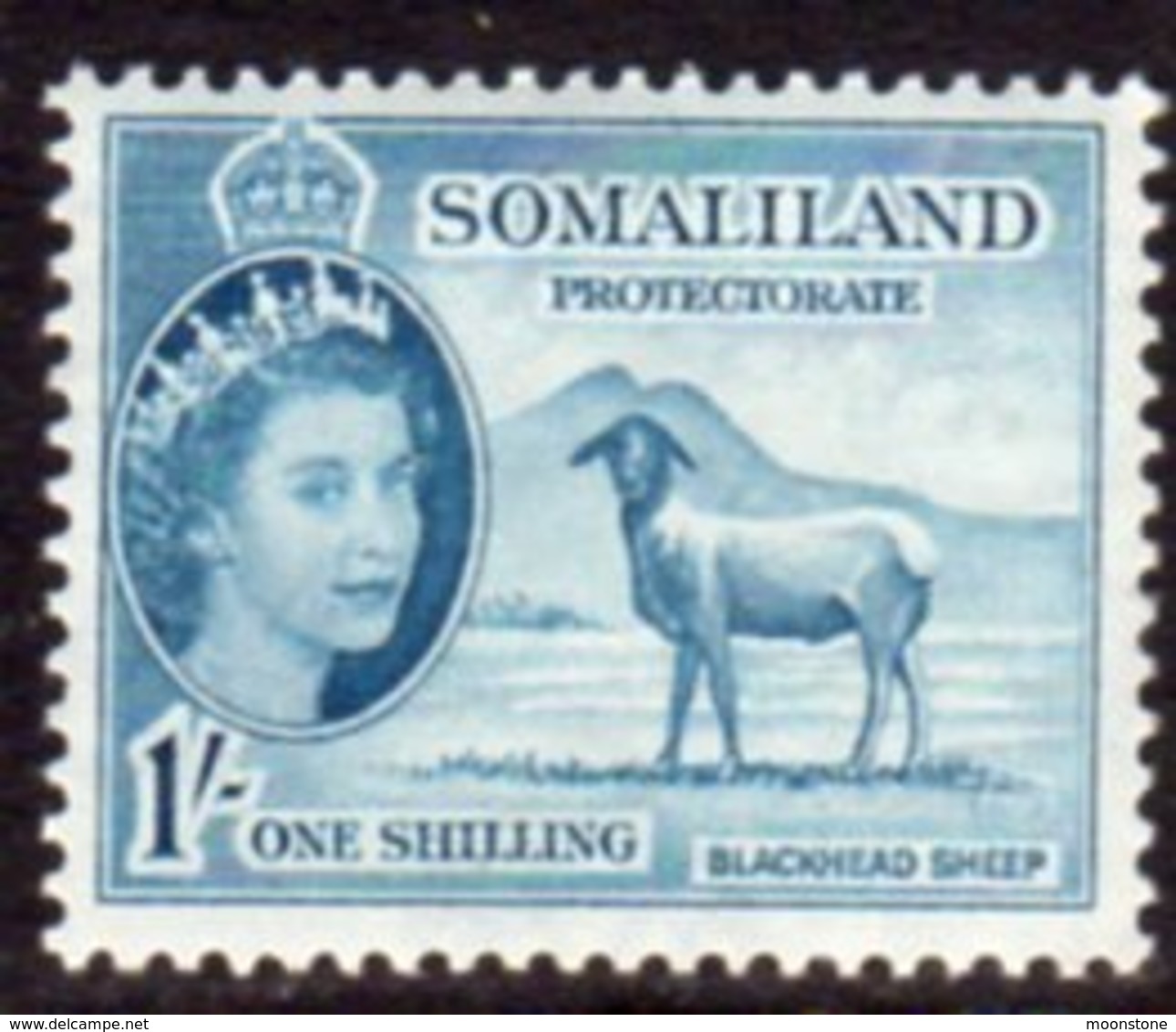 British Somaliland 1953-8 1/- Berbera Blackhead Sheep Value, MNH, SG 144 (BA) - Somaliland (Protectorate ...-1959)