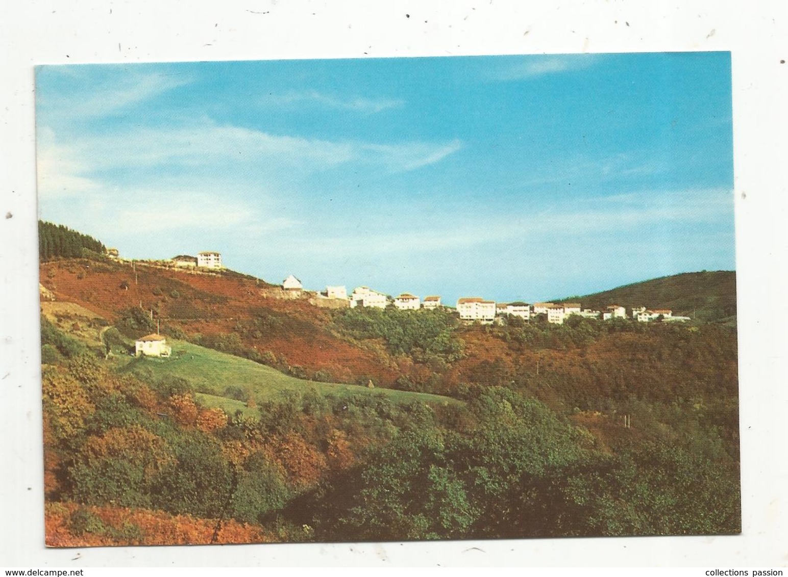 Cp, Espagne , COL D'IBARDIN , Vista Panoramica , Vierge , Ed. Tellechea - Navarra (Pamplona)