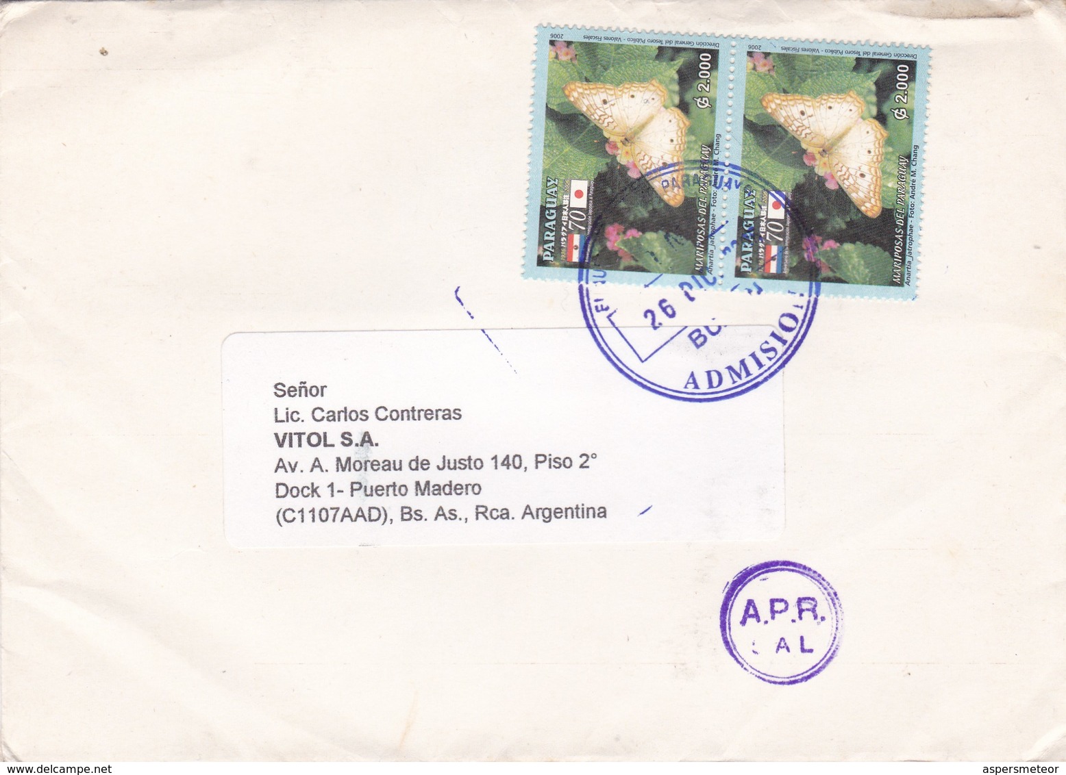 SOBRE ENVELOPE CIRCULEE TO ARGENTINE CIRCA 2006. MARIPOSAS STAMPS. AUTRE MARQUE. PARAGUAY- BLEUP - Paraguay