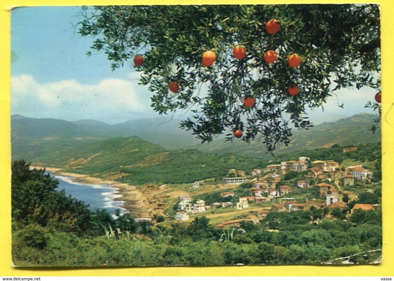 PALINURO  - Panorama - Stamped  1964 - Salerno - Salerno