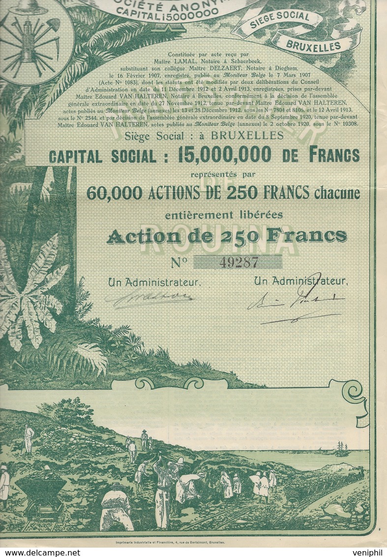 MINES DE FER DE ROUINA -ALGERIE- ACTION ILLUSTREE DE 250 FRS -ANNEE 1920 - Bergbau