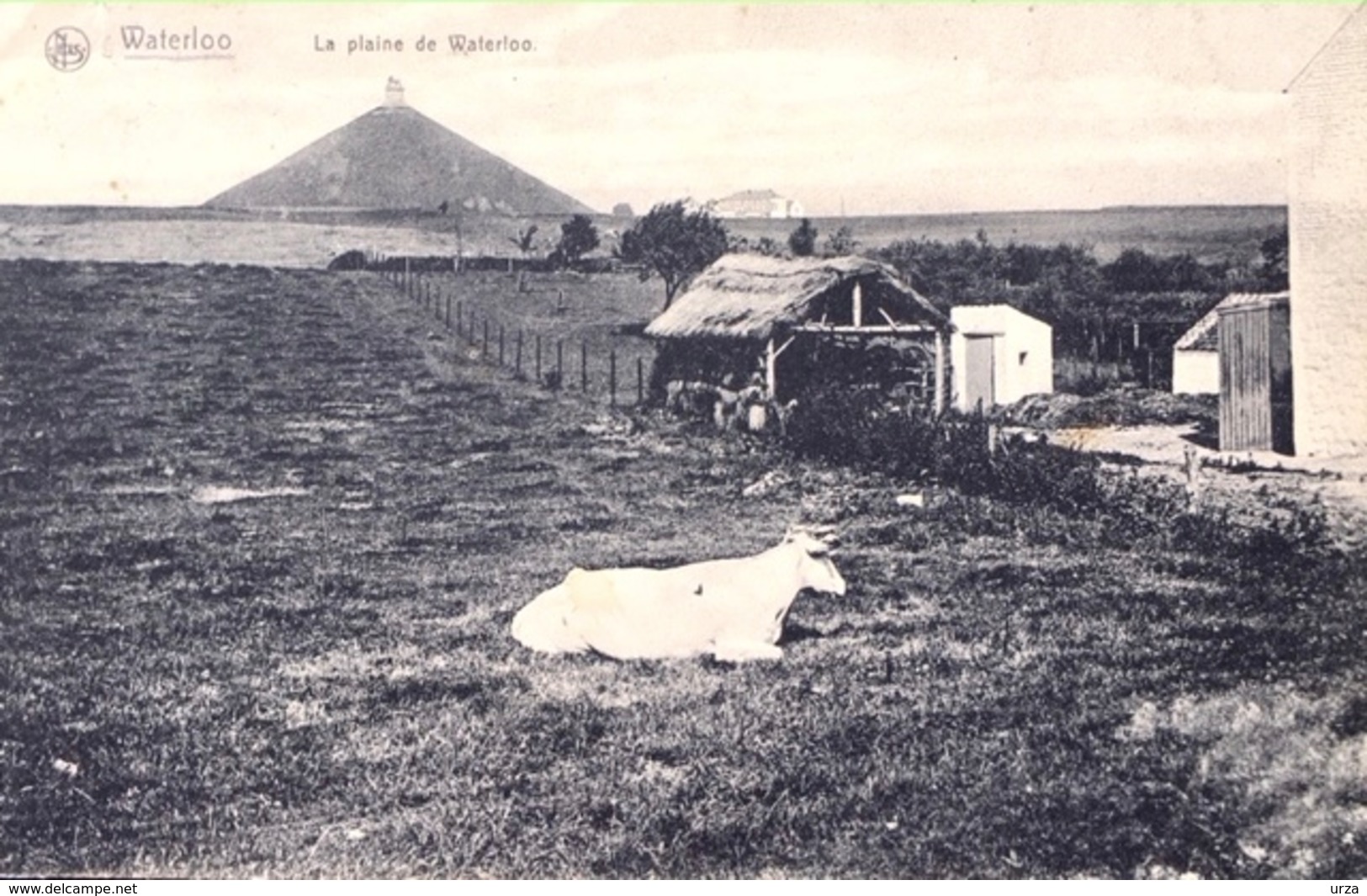 Waterloo-La Plaine De Waterloo-1912-Oh La Vache - Waterloo