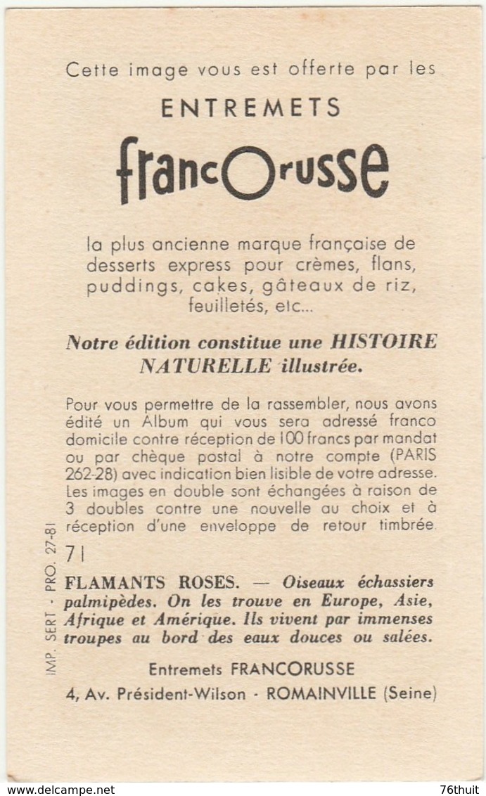 Entremets FRANCORUSSE - Image N° 71  - FLAMANTS ROSES - Other & Unclassified