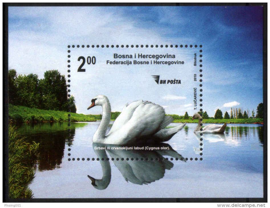 Bosnia And Herzegovina 2010 Fauna, Birds, Swan, Block, Souvenir Sheet MNH - Swans