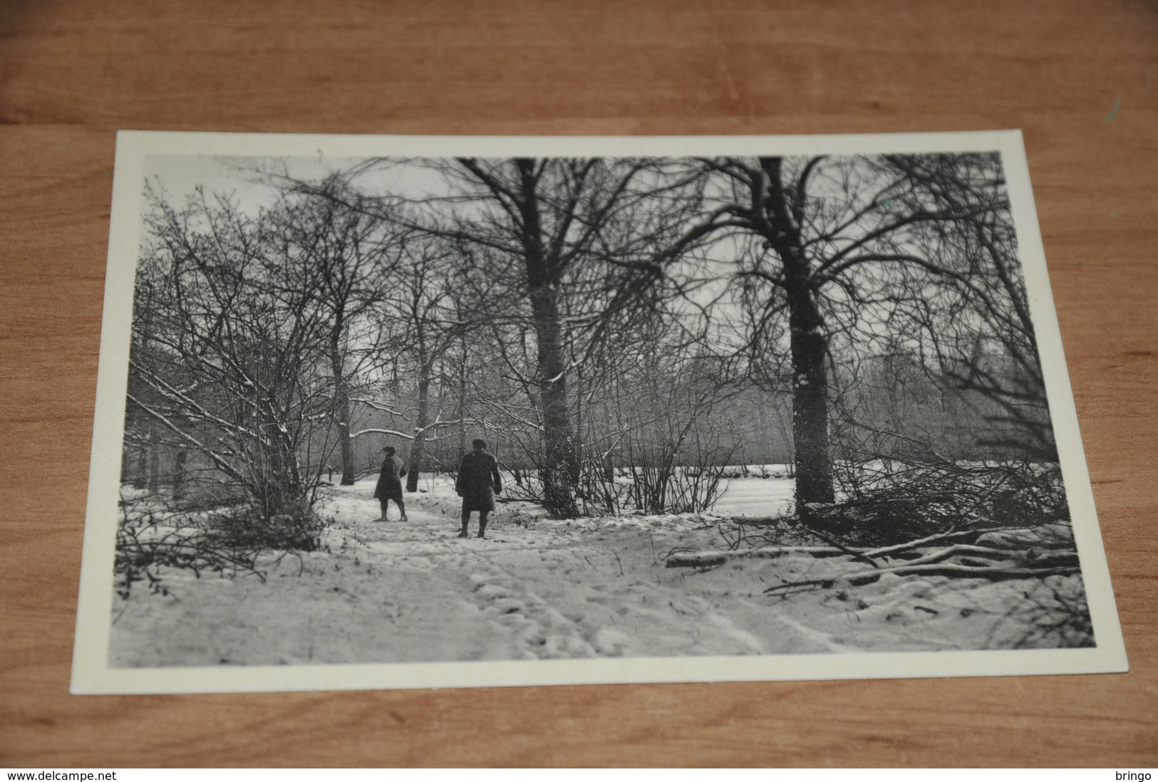 4169- KORTENBERG - CORTENBERG - Parkaanblik In De Winter / Animée - Kortenberg