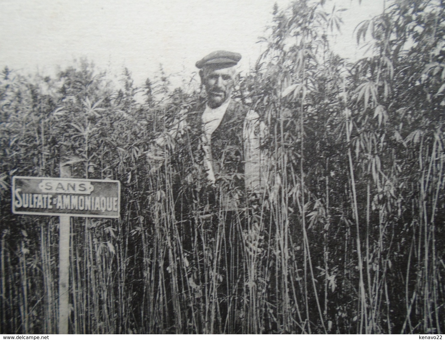 Carte Assez Rare , Haut-éclair , Par Nouans , Effet Du Sulfate D'ammoniaque Sur Chanvre , Chez M. Marguerit - Autres & Non Classés