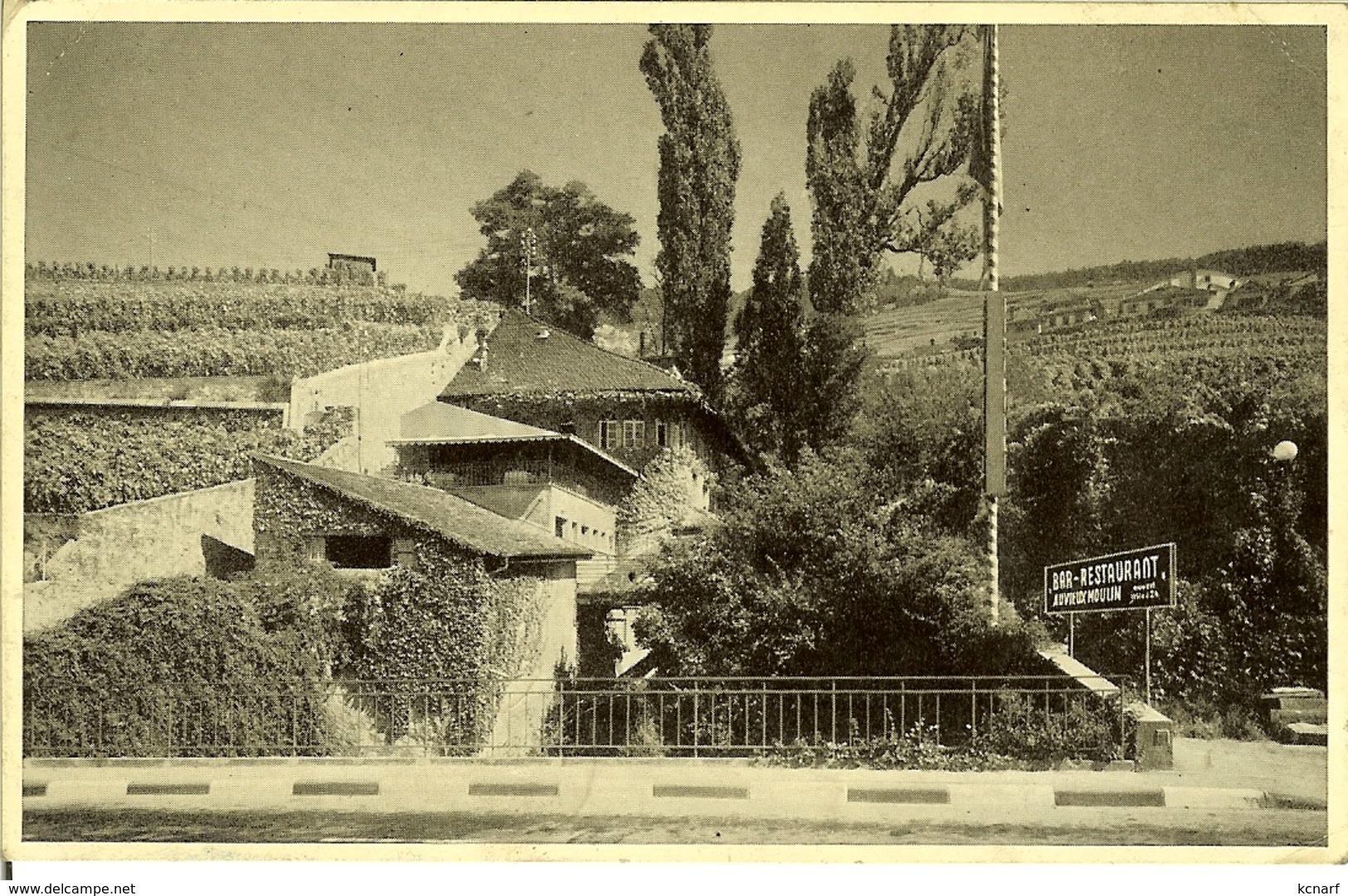 CP De EPESSES Près De Laussane " Le Restaurant -bar-terrasse AU VIEUX MOULIN  " - Épesses