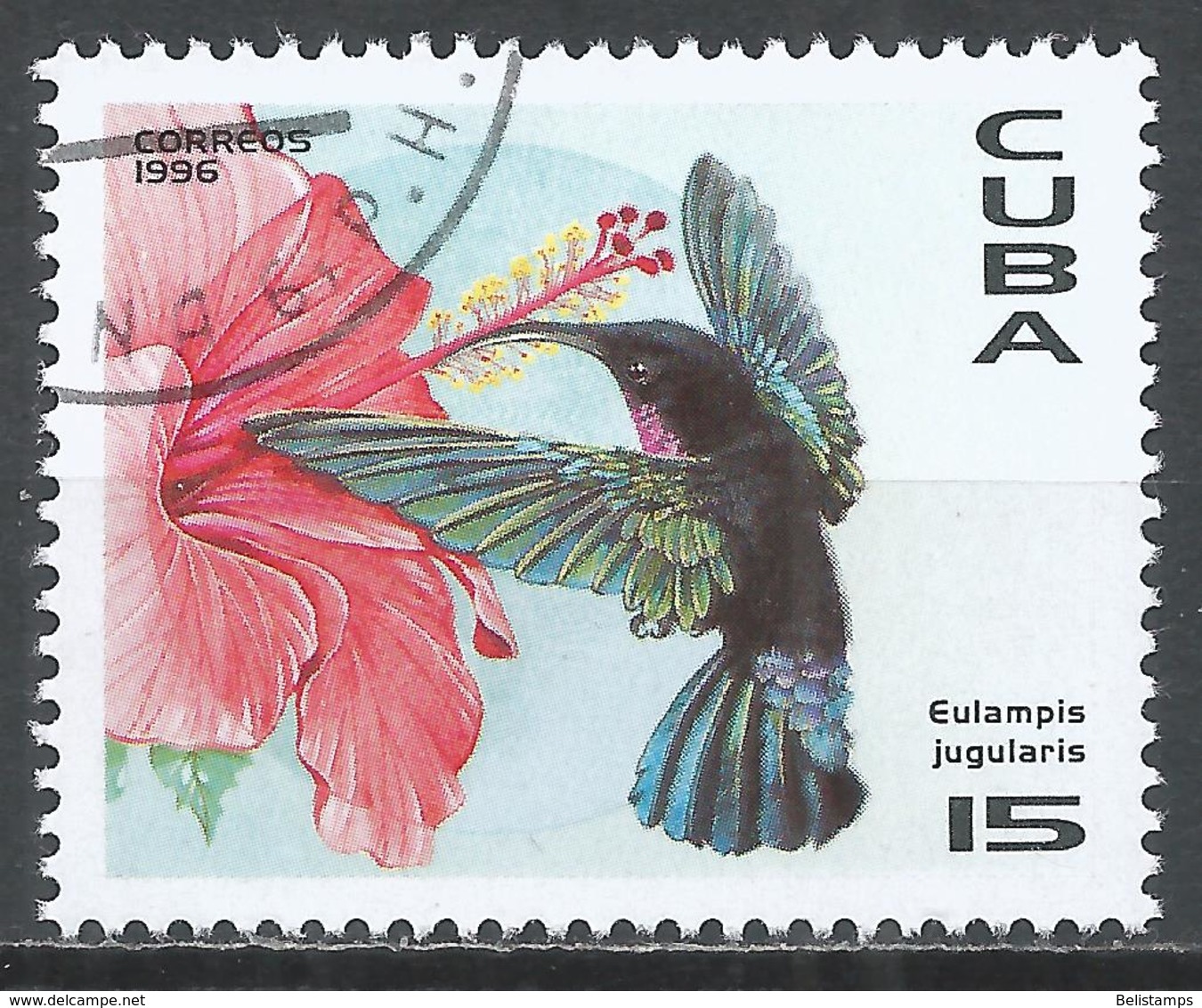 Cuba 1996. Scott #3749 (U) Fauna Of The Caribbean, Eulampis Jugularis, Bird * - Oblitérés