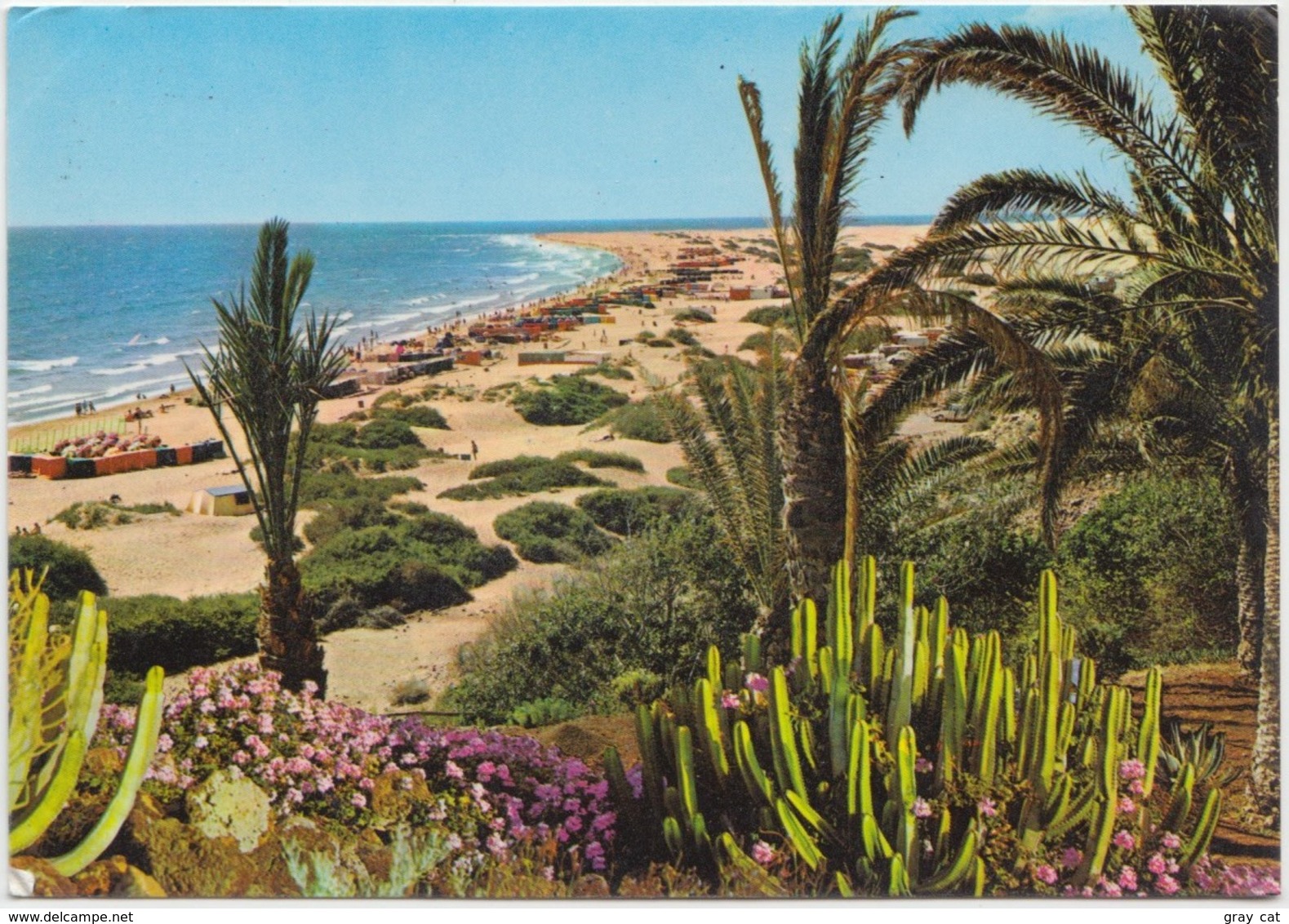 COSTA CANARIA, Playa Del Ingles, Las Palmas De Gran Canaria, Spain, Used Postcard [21845] - Gran Canaria