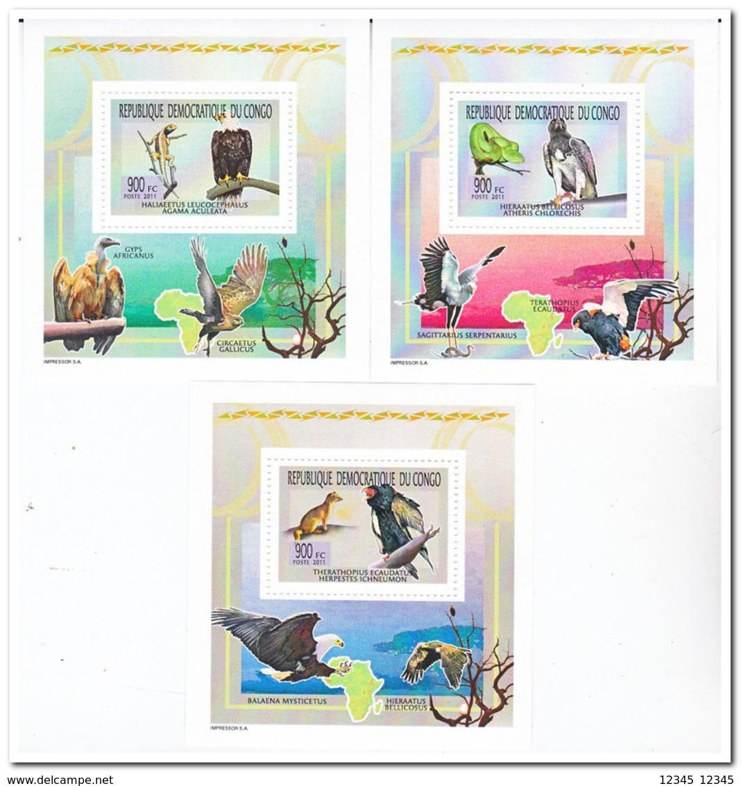 Congo 2011, Postfris MNH, Animals, Birds Of Prey - Ongebruikt