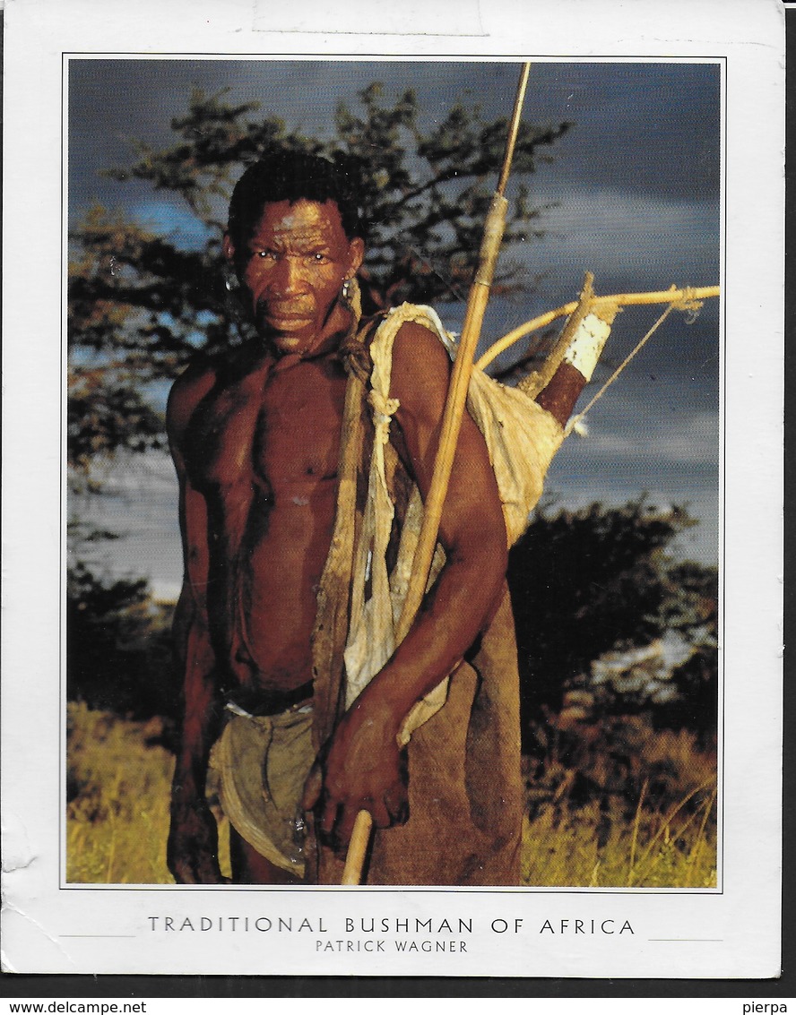 TRADITIONAL BUSHMAN OF AFRICA - FORMATO GRANDE 15X12 - VIAGGIATA DAL SUDAFRICA 2001 - Africa