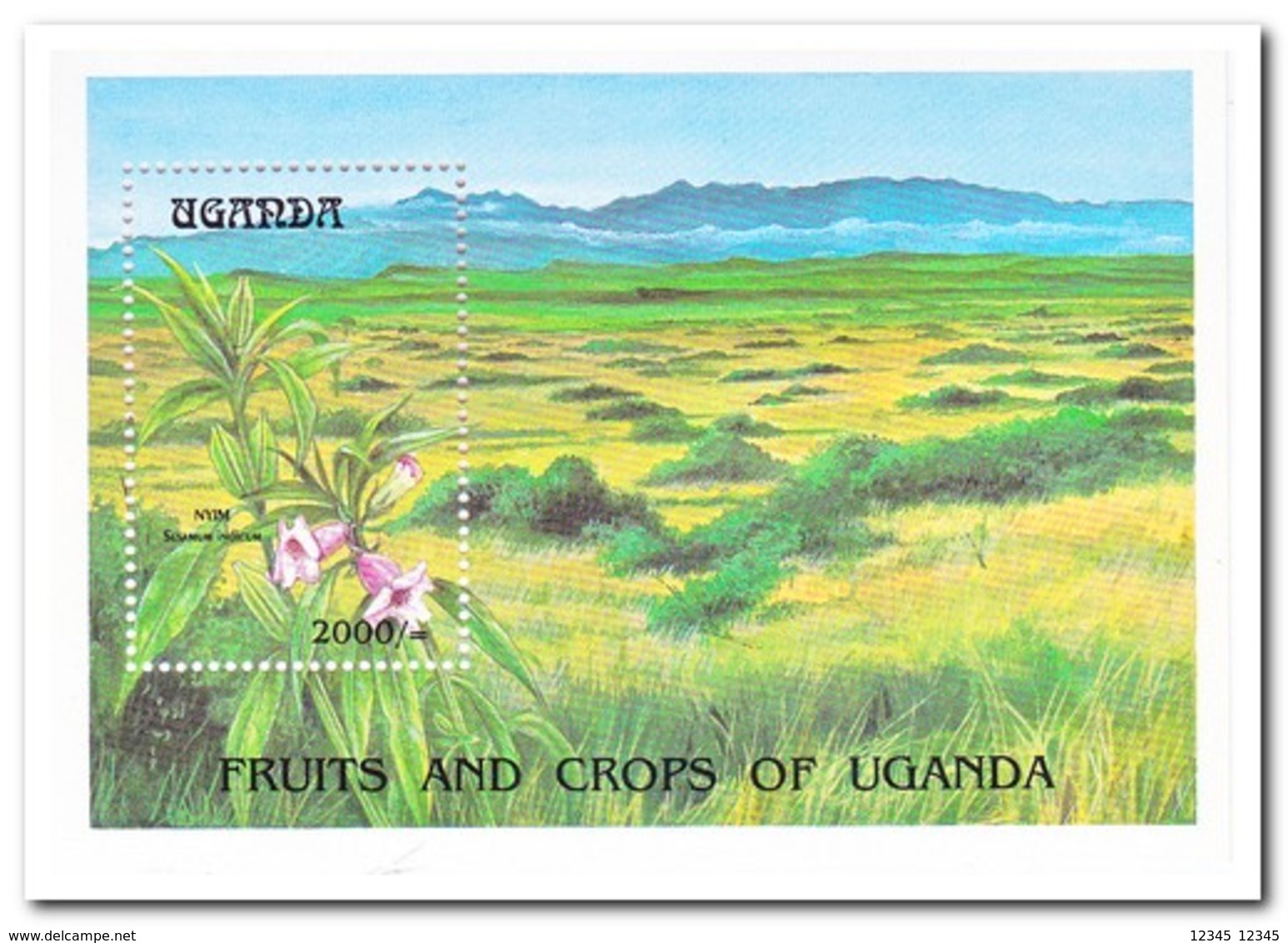 Uganda, Postfris MNH, Flowers - Oeganda (1962-...)