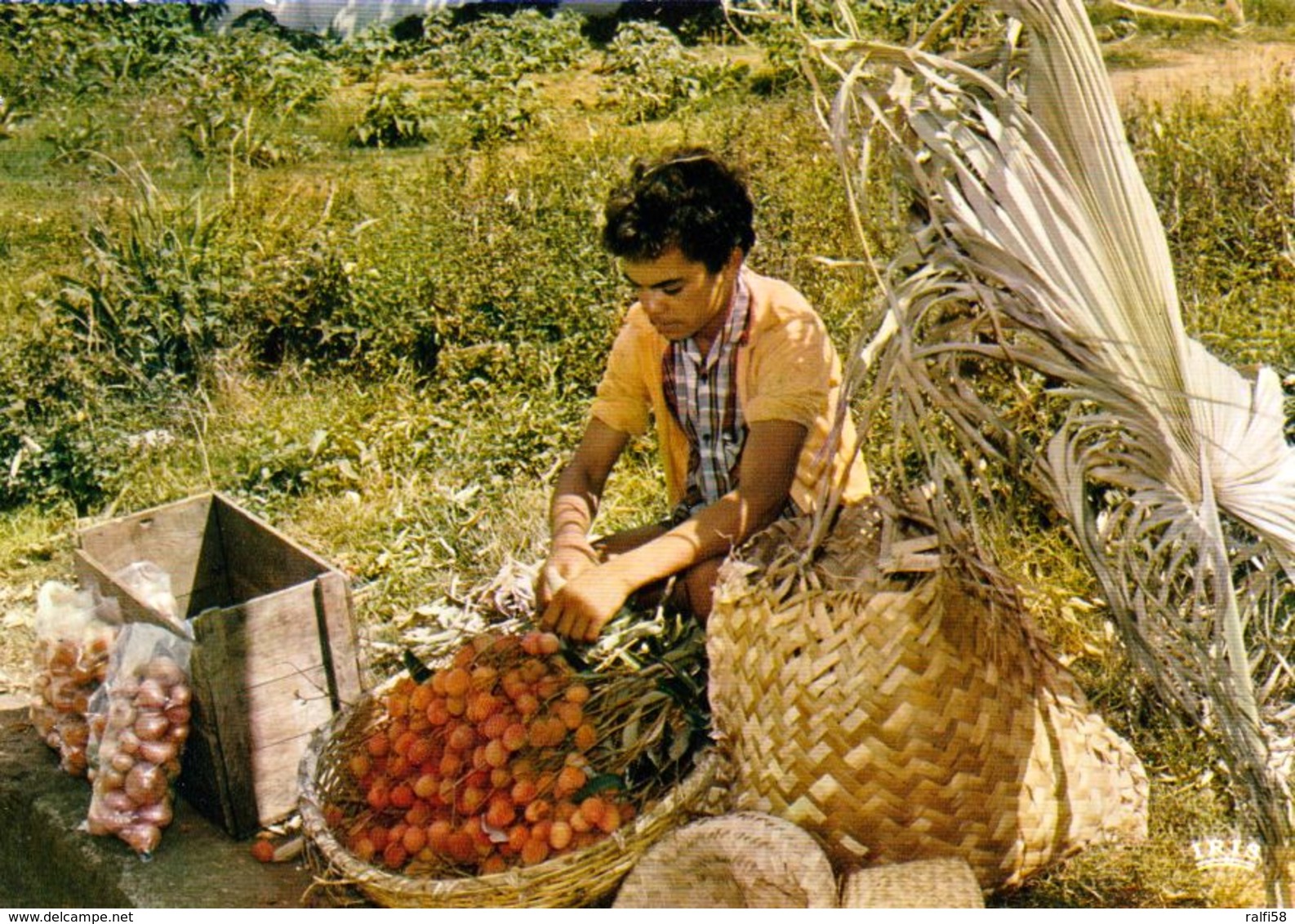 1 AK Insel Reunion * Marchand De Letchis - Litchi Verkäufer Auf Der Insel Reunion * Übersee-Departement * IRIS Karte * - Réunion