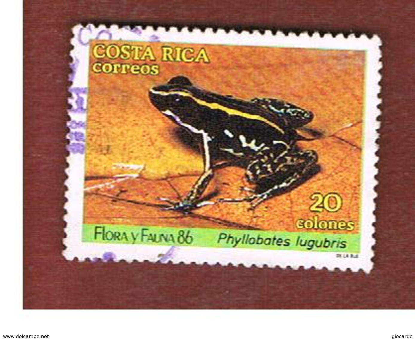 COSTA RICA  -  SG 1449  -  1986  FAUNA: FROG (PHYLLOBATES LUGUBRIS)   -  USED ° - Costa Rica