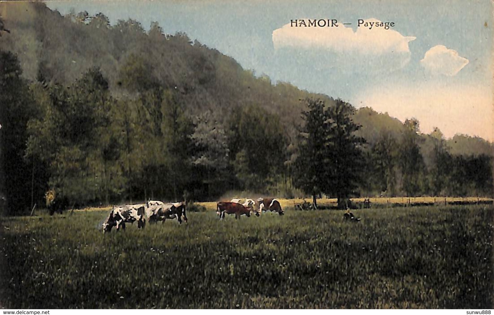 Hamoir - Paysage (animée, Colorisée, Desaix, 1924) - Hamoir