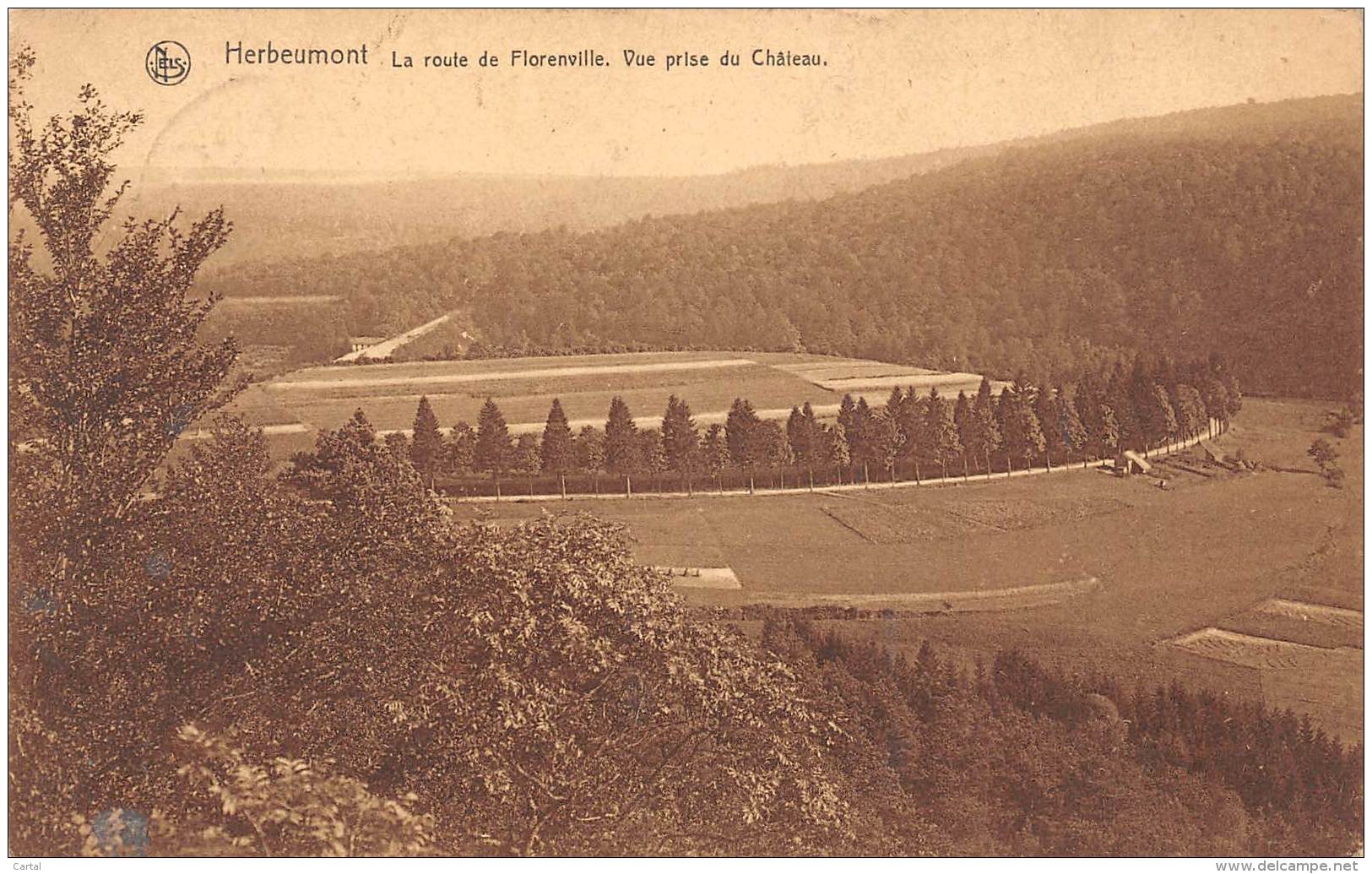 HERBEUMONT - La Route De Florenville.   Vue Prise Du Château - Herbeumont