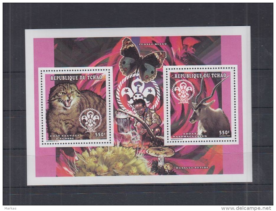 M548. Chad - MNH - Nature - Animals - Mushrooms - Butterflies - Cactuses - Scout - Autres & Non Classés