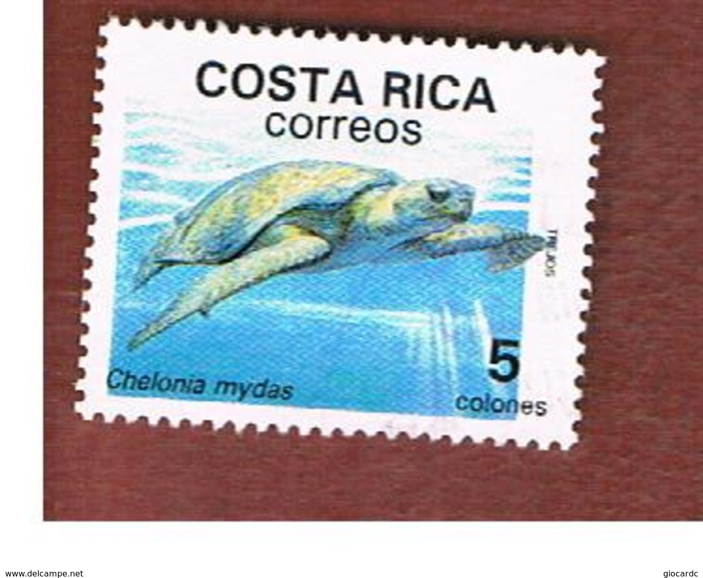 COSTA RICA  -  SG 1469  -  1988 NATURE CONSERVATION: GREEN TURTLE  -  USED ° - Costa Rica