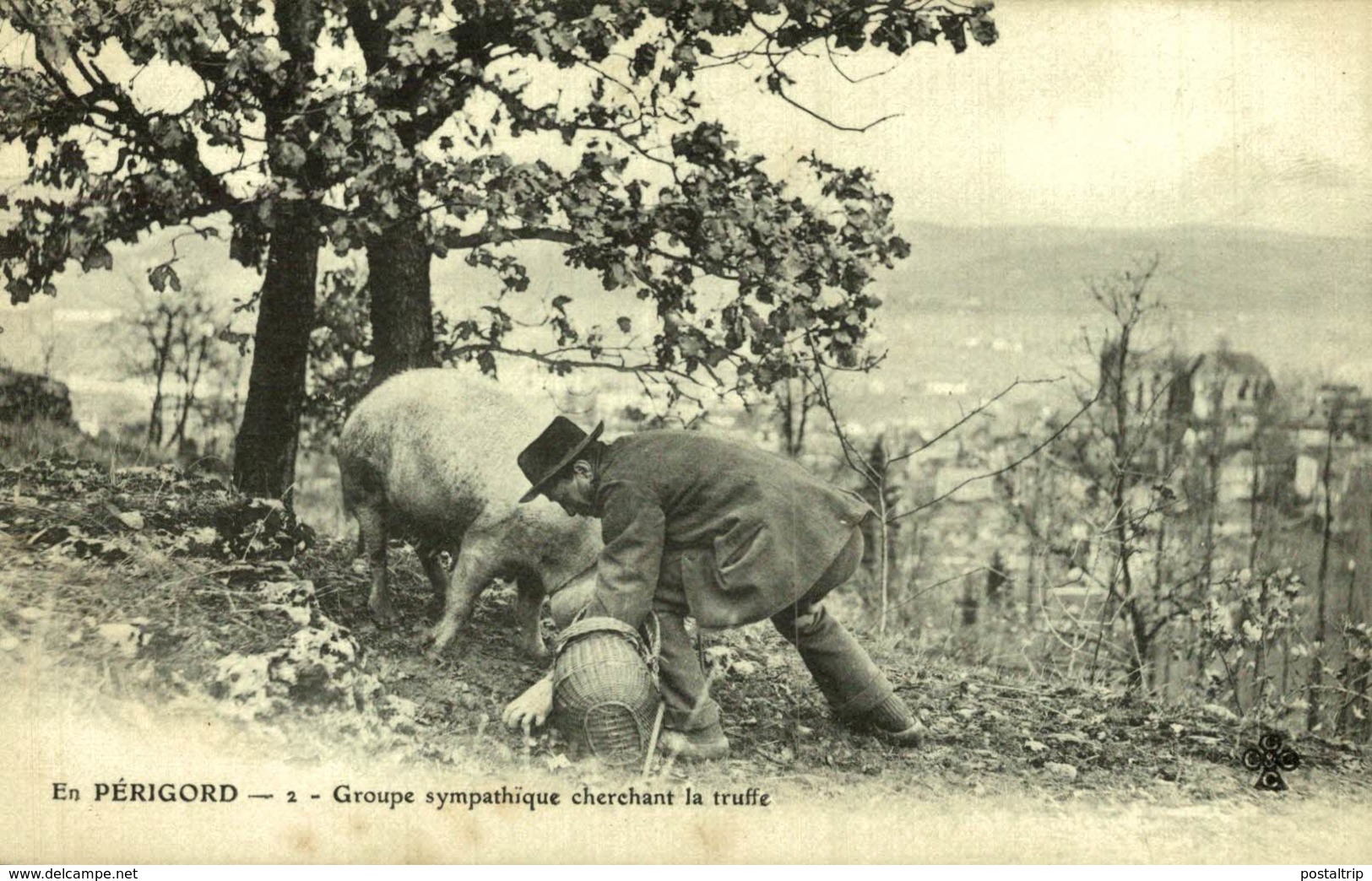 EN PERIGORD GROUPE SYMPATHIQUE CHERCHANT LA TRUFFE - Hongos