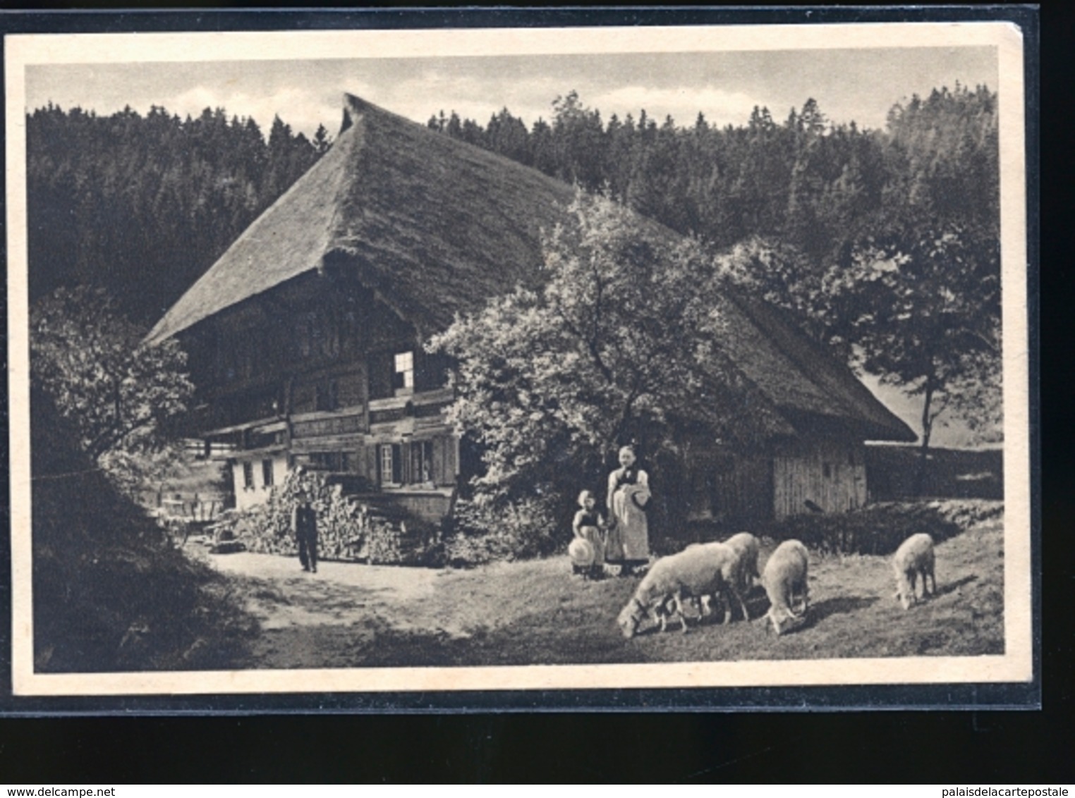 ALTES BAUERNHAUS IM SCHWARZWALD - Metz Campagne