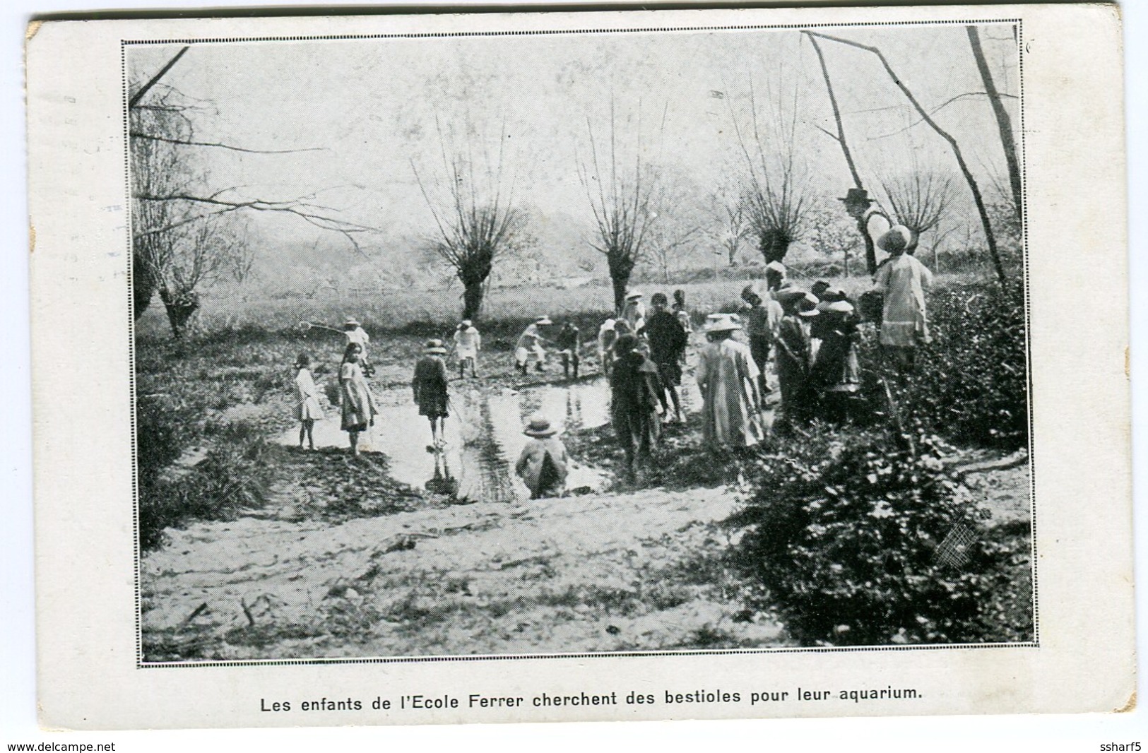 LAUSANNE Ecole Ferrer, Rue De La Madeleine, 4, Les Enfants Cherchent Des Bestioles Pour Leur Aquarium Envoyée 1917 - Lausanne