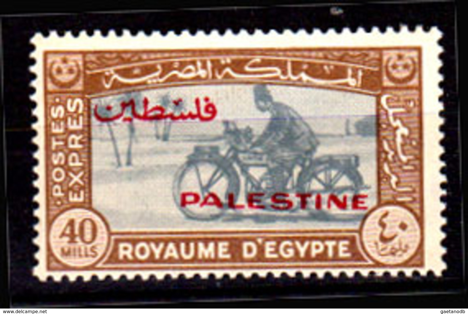 Palestina-0110 - Occupazione Egiziana - Emissione 1948 (++) MNH - Senza Difetti Occulti. - Palestina